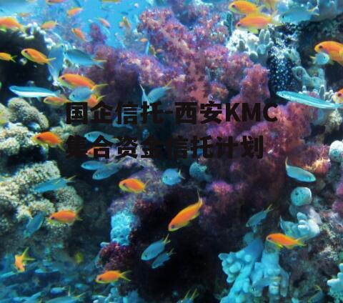 国企信托-西安KMC集合资金信托计划