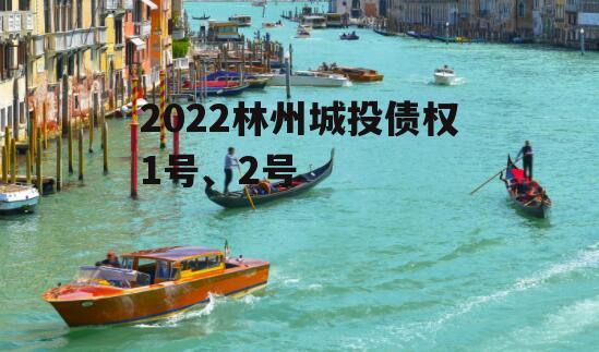 2022林州城投债权1号、2号