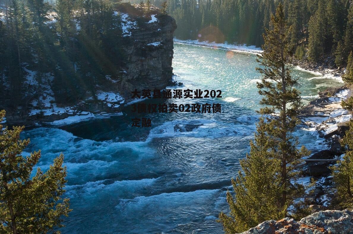 大英县通源实业2023债权拍卖02政府债定融