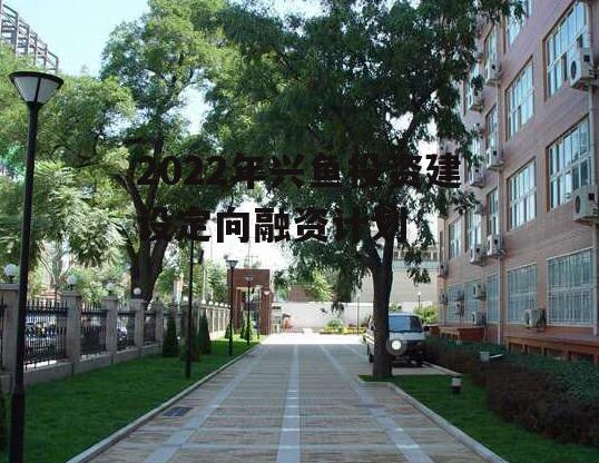 2022年兴鱼投资建设定向融资计划