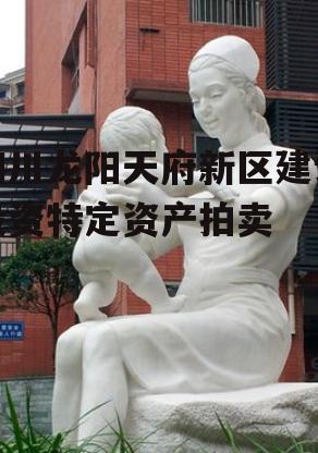 四川龙阳天府新区建设投资特定资产拍卖