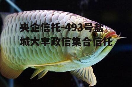 央企信托-493号盐城大丰政信集合信托