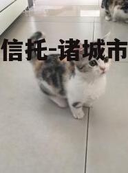 央企信托-诸城市非标政信