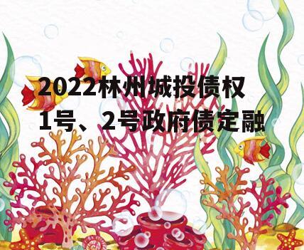 2022林州城投债权1号、2号政府债定融