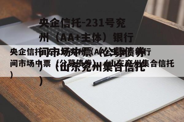 央企信托-231号兖州（AA+主体）银行间市场中票（公募债券）（山东兖州集合信托）