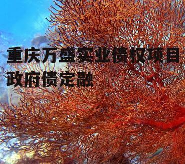 重庆万盛实业债权项目政府债定融