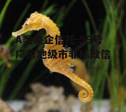 A类央企信托-99号广东地级市非标政信