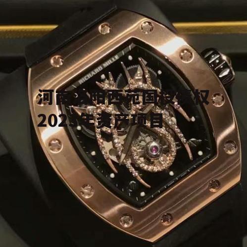 河南洛阳西苑国投债权2023年资产项目