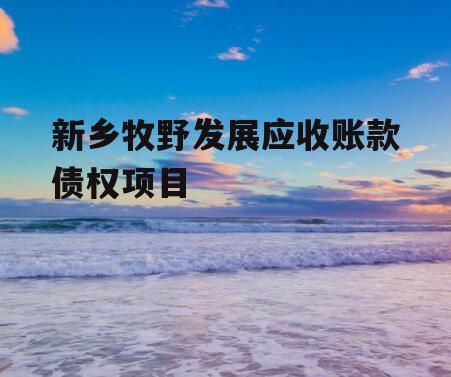新乡牧野发展应收账款债权项目