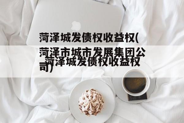 菏泽城发债权收益权(菏泽市城市发展集团公司)