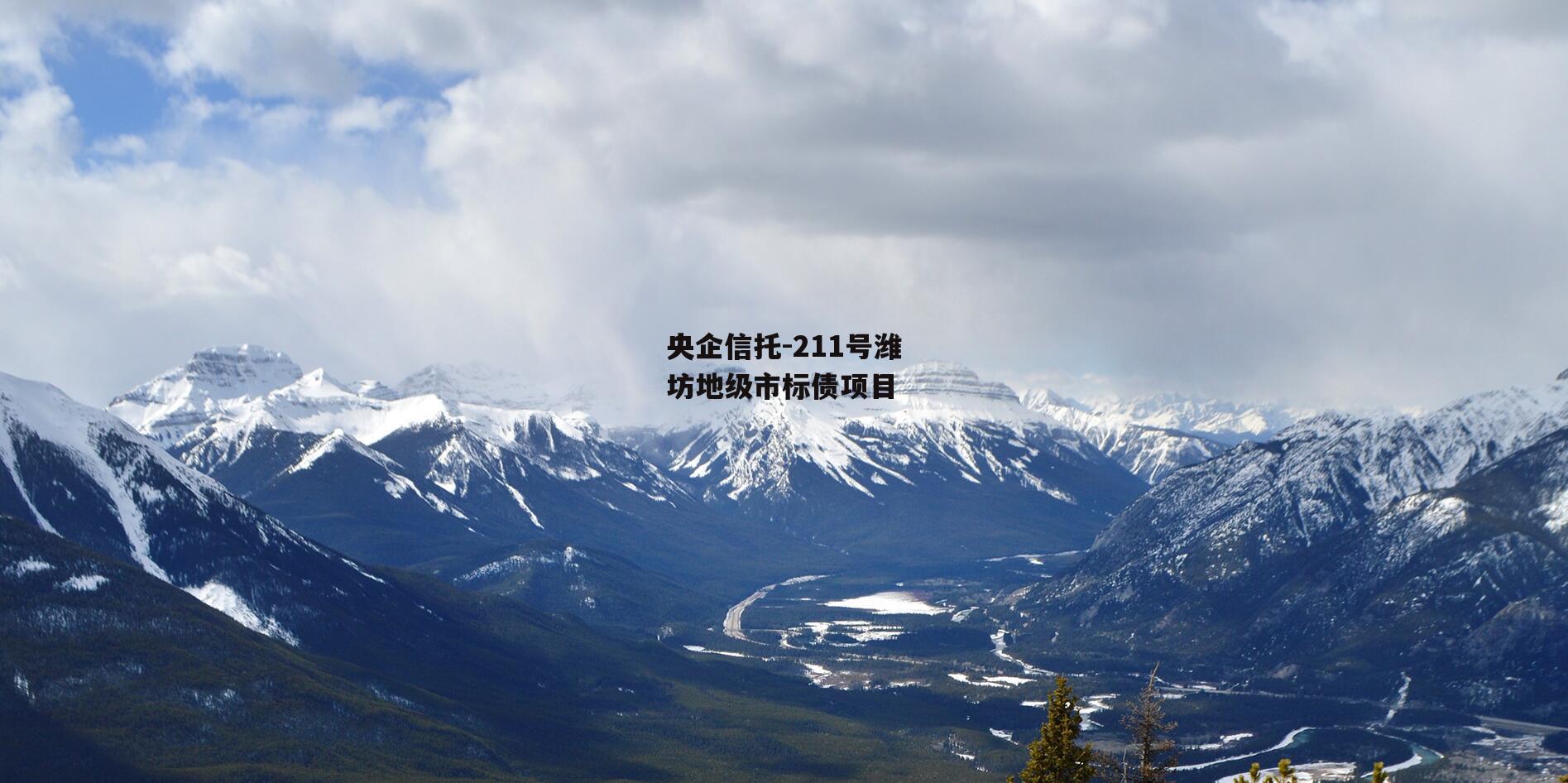 央企信托-211号潍坊地级市标债项目