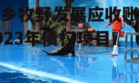 新乡牧野发展应收账款2023年债权项目