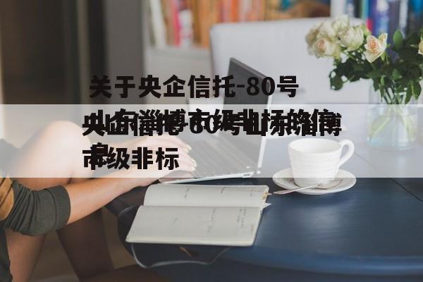 关于央企信托-80号山东淄博市级非标的信息
