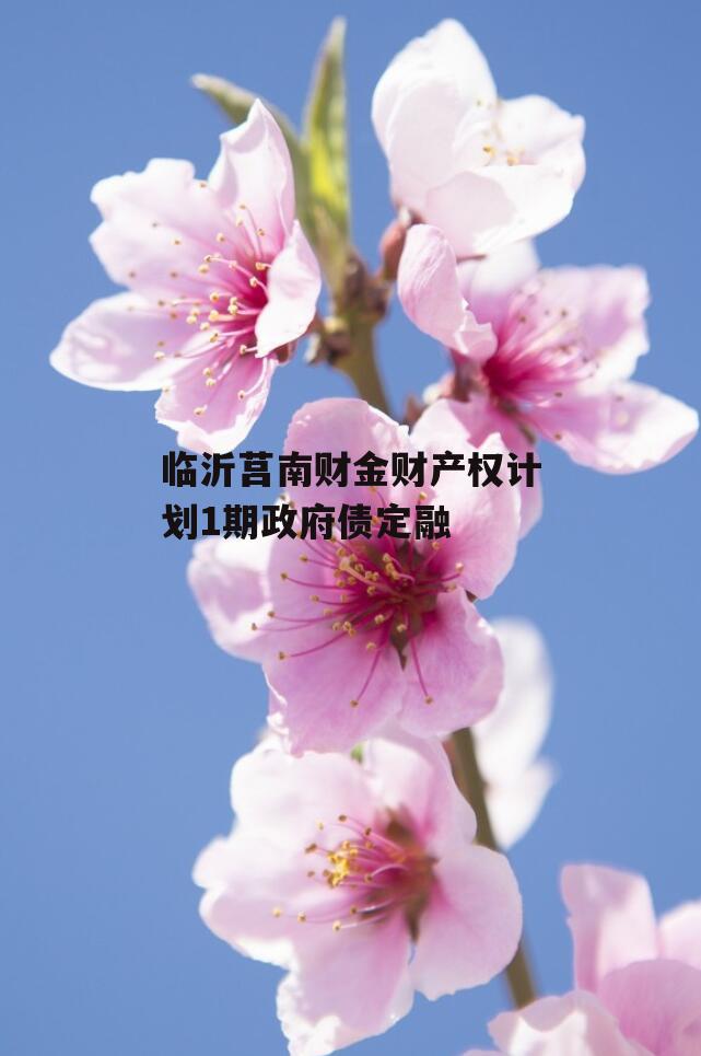 临沂莒南财金财产权计划1期政府债定融