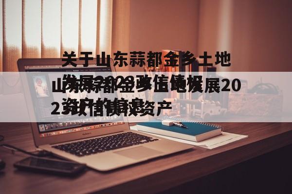 关于山东蒜都金乡土地发展2023政信债权资产的信息