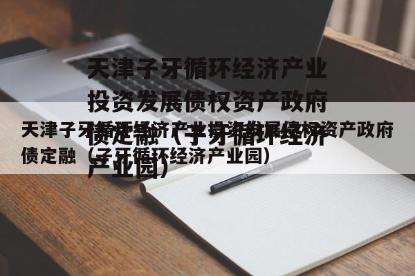 天津子牙循环经济产业投资发展债权资产政府债定融（子牙循环经济产业园）