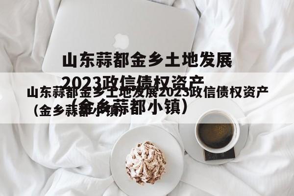 山东蒜都金乡土地发展2023政信债权资产（金乡蒜都小镇）