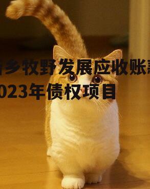 新乡牧野发展应收账款2023年债权项目