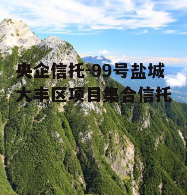 央企信托-99号盐城大丰区项目集合信托