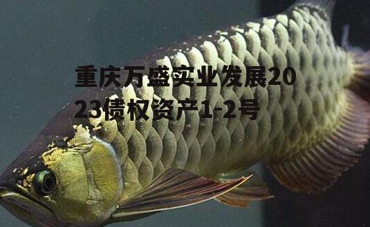 重庆万盛实业发展2023债权资产1-2号