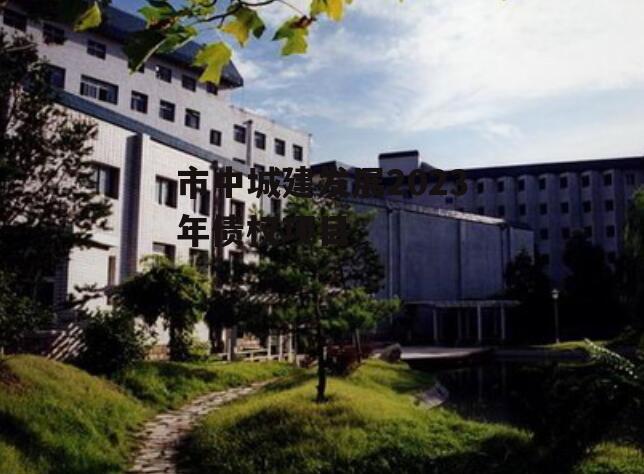 市中城建发展2023年债权项目