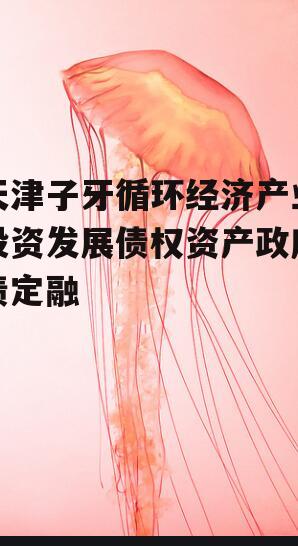 天津子牙循环经济产业投资发展债权资产政府债定融