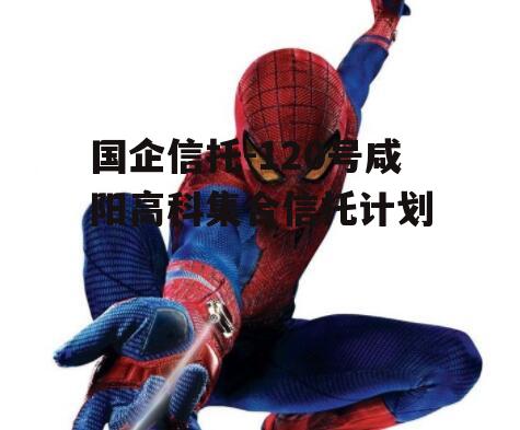 国企信托-120号咸阳高科集合信托计划