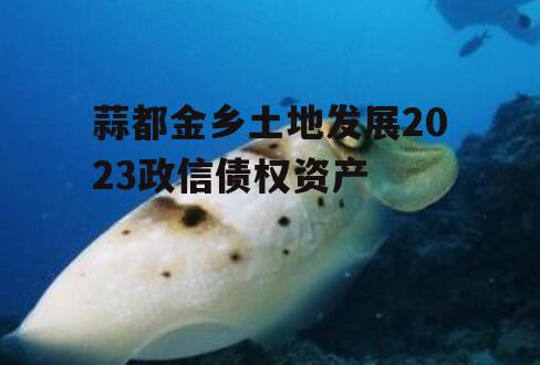 蒜都金乡土地发展2023政信债权资产