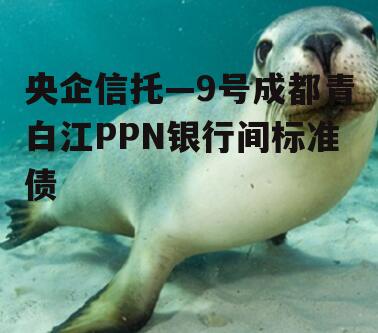 央企信托—9号成都青白江PPN银行间标准债