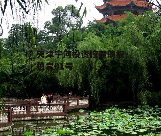 天津宁河投资控股债权拍卖01号