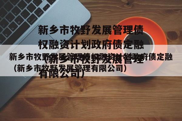 新乡市牧野发展管理债权融资计划政府债定融（新乡市牧野发展管理有限公司）
