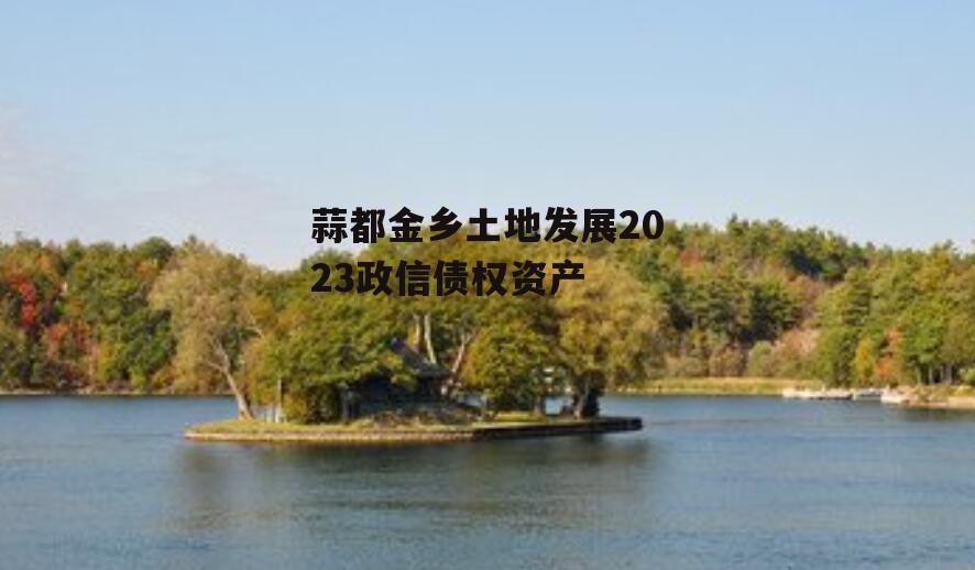 蒜都金乡土地发展2023政信债权资产