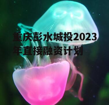 重庆彭水城投2023年直接融资计划