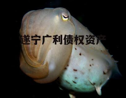 遂宁广利债权资产