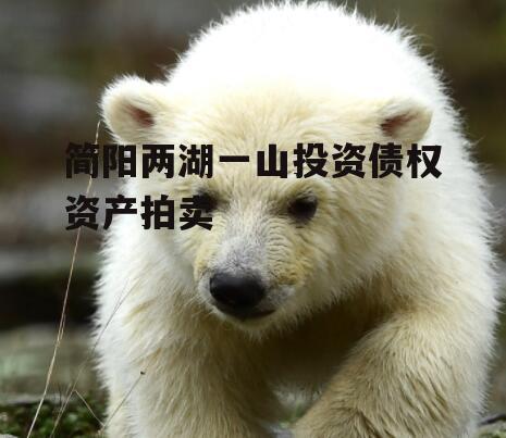 简阳两湖一山投资债权资产拍卖