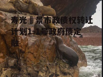 寿光昇景市政债权转让计划1-1号政府债定融