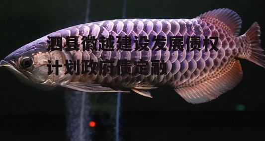 泗县徽越建设发展债权计划政府债定融