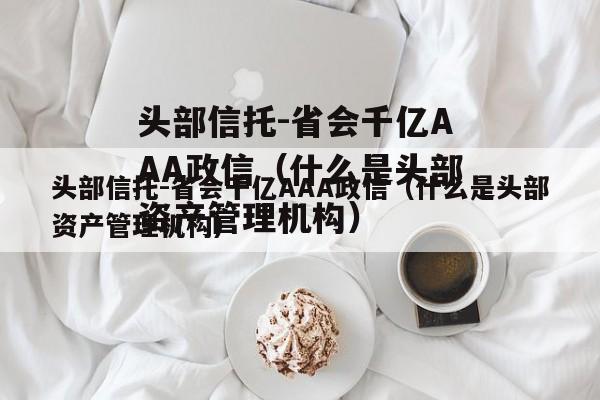 头部信托-省会千亿AAA政信（什么是头部资产管理机构）