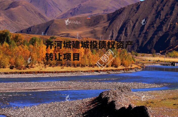 齐河城建城投债权资产转让项目