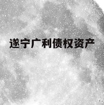 遂宁广利债权资产