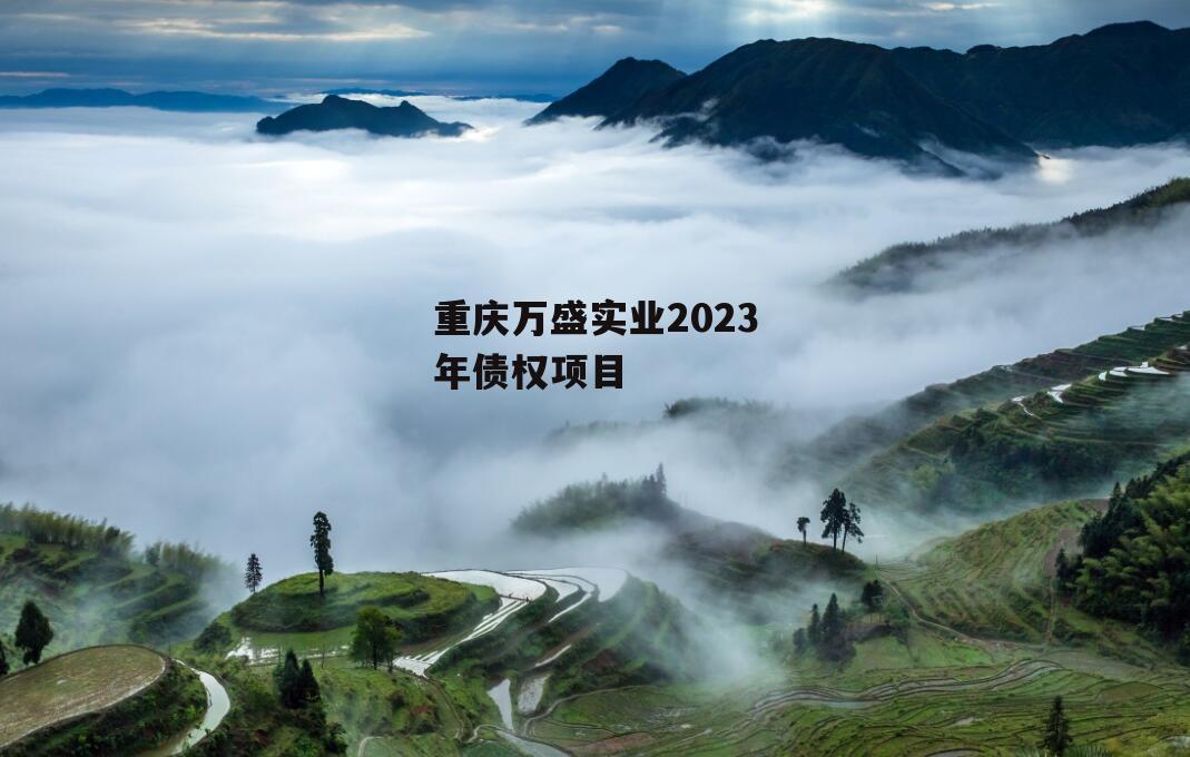 重庆万盛实业2023年债权项目