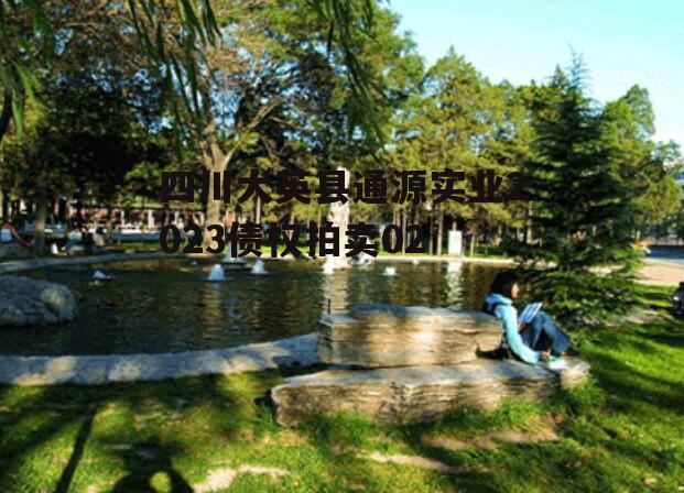四川大英县通源实业2023债权拍卖02
