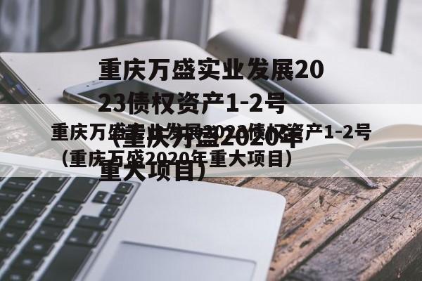重庆万盛实业发展2023债权资产1-2号（重庆万盛2020年重大项目）