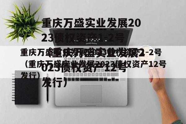 重庆万盛实业发展2023债权资产1-2号（重庆万盛实业发展2023债权资产12号发行）