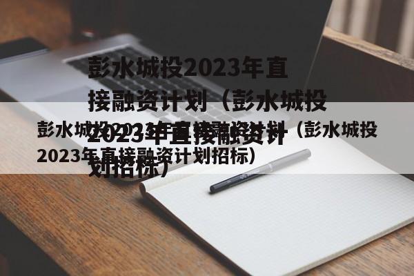 彭水城投2023年直接融资计划（彭水城投2023年直接融资计划招标）