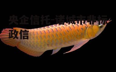 央企信托-诸城市非标政信