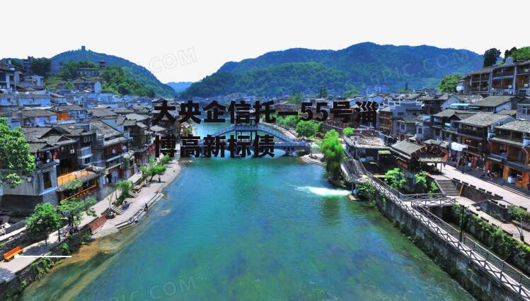 大央企信托—55号淄博高新标债