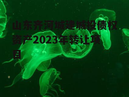 山东齐河城建城投债权资产2023年转让项目