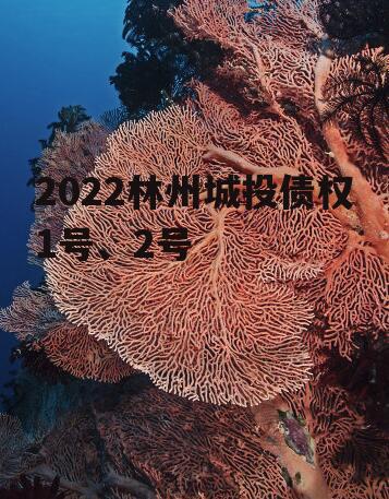 2022林州城投债权1号、2号