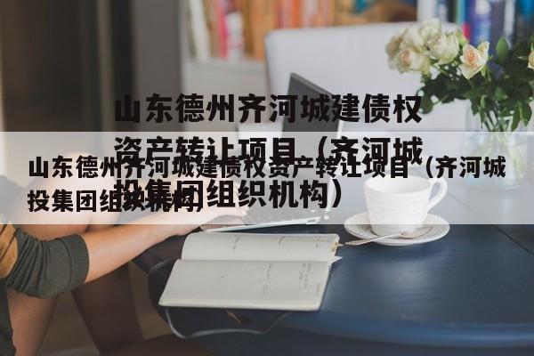 山东德州齐河城建债权资产转让项目（齐河城投集团组织机构）